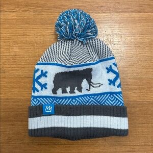 Mammoth beanie 2024/2025 new